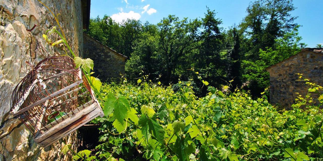 Molino Di Bombi Villa Castellina in Chianti Exteriör bild
